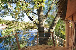 TreeHouse3