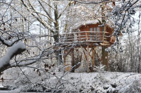 Treehouse Manka