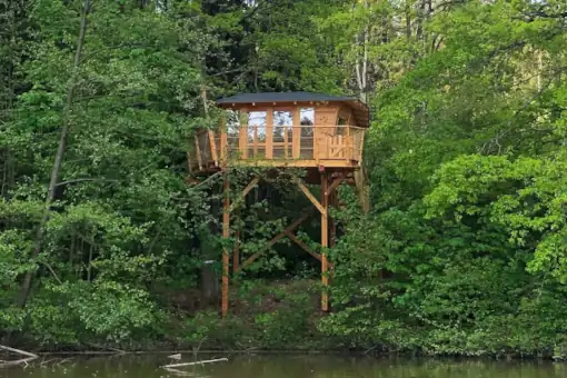 Treehouse Manka